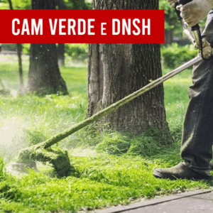 Corso di Formazione del personale operativo sui Criteri Ambientali Minimi (CAM Verde) e sul principio europeo DNSH (Do No Significant Harm)