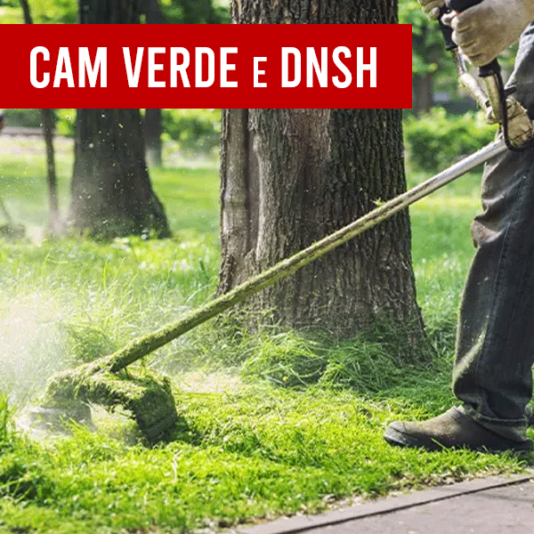 Corso di Formazione del personale operativo sui Criteri Ambientali Minimi (CAM Verde) e sul principio europeo DNSH (Do No Significant Harm)
